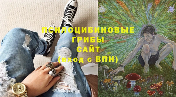 экстази Алексин