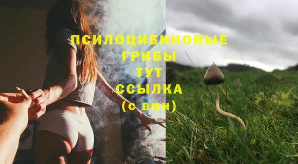 первитин Алексеевка